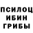Галлюциногенные грибы Psilocybe airshade