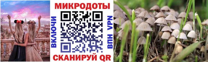 ОМГ ОМГ зеркало  Новосиль  Псилоцибиновые грибы Cubensis  наркота 